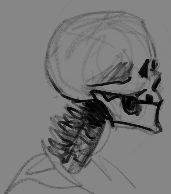 Skellysona's tweet photo. Reposting the ref and a couple more doodles. Absolutely obsessed with this dude https://t.co/o3YfFLWW4q