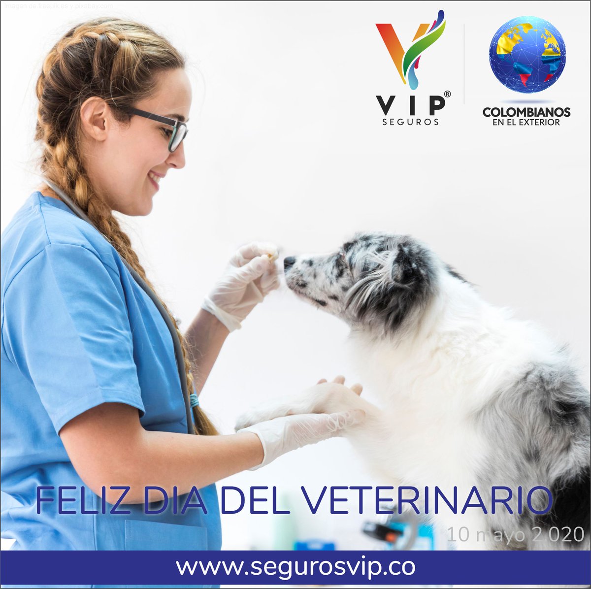 SegurosVIPco's tweet photo. ASEGURA tu Presente, PROTEGE tu Futuro.

Ser veterinario no es sólo cuidar a los animales, es ante todo respetar la vida de todos los que habitamos en este mundo y dignificar su existencia, te desea @SegurosVIPco 

#veterinarioscolombia #amolosanimales #profesionalescolombia https://t.co/72Tyghe5HU