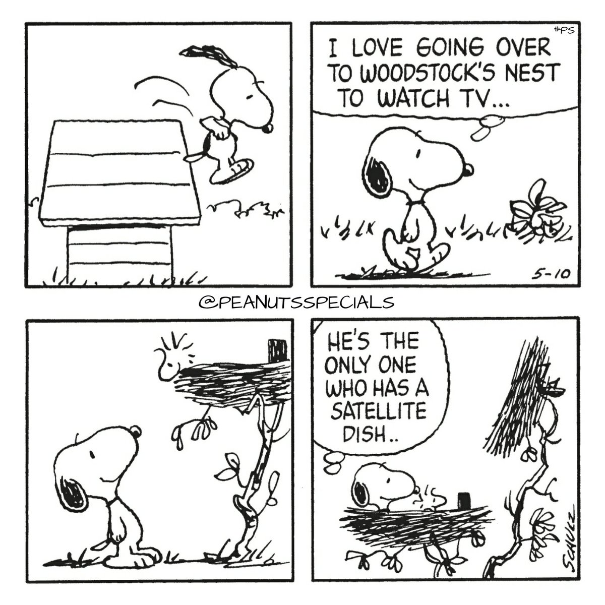 Peanuts Specials on Twitter: "First Appearance: May 10, 1985  #peanutsspecials #ps #pnts #peanuts #schulz #peanutshome #peanutsstrong # snoopy #woodstock #love #going #woodstocks #nest #watchtv #onlyone #who  #has #satellitedish https://t.co/hvsusnep5G ...
