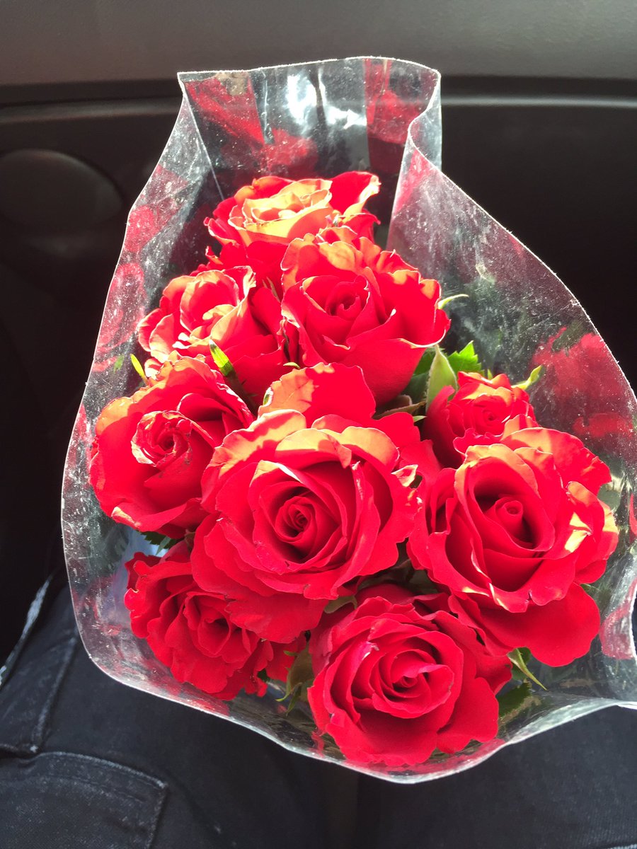 ToonToxicJNNY's tweet photo. #PhotosOfMyLife Day 4/7
A photo every day. For a week.
No people, no explanations.
Every day an invitation to join in.
I was invited by
@_MothNoah_
I invite to participate
@whataboringpage (you don't have to xd)
(#nofilteratall , roses for mom) https://t.co/sRN3WR9q7Y