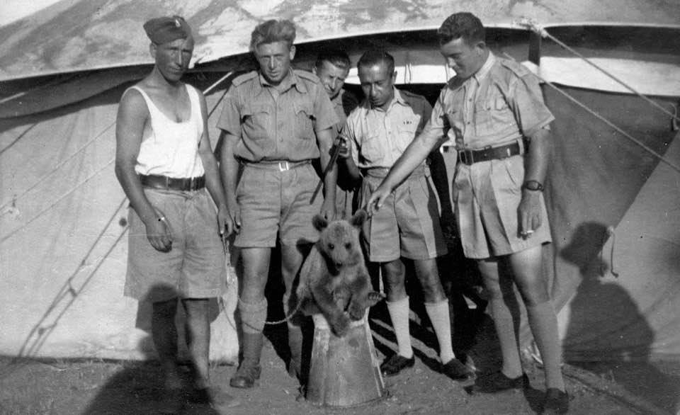 3/ 18 y/o Pole Irena Bokiewicz 1st came across this adorable bear cub in Hamadan, #Iran and bought him off some boys for some chocolate. In Aug 1942 he was introduced to the unit that became the 22nd Artillery Supply Company. Sgt Piotr Prendyś was appointed his principal guardian
