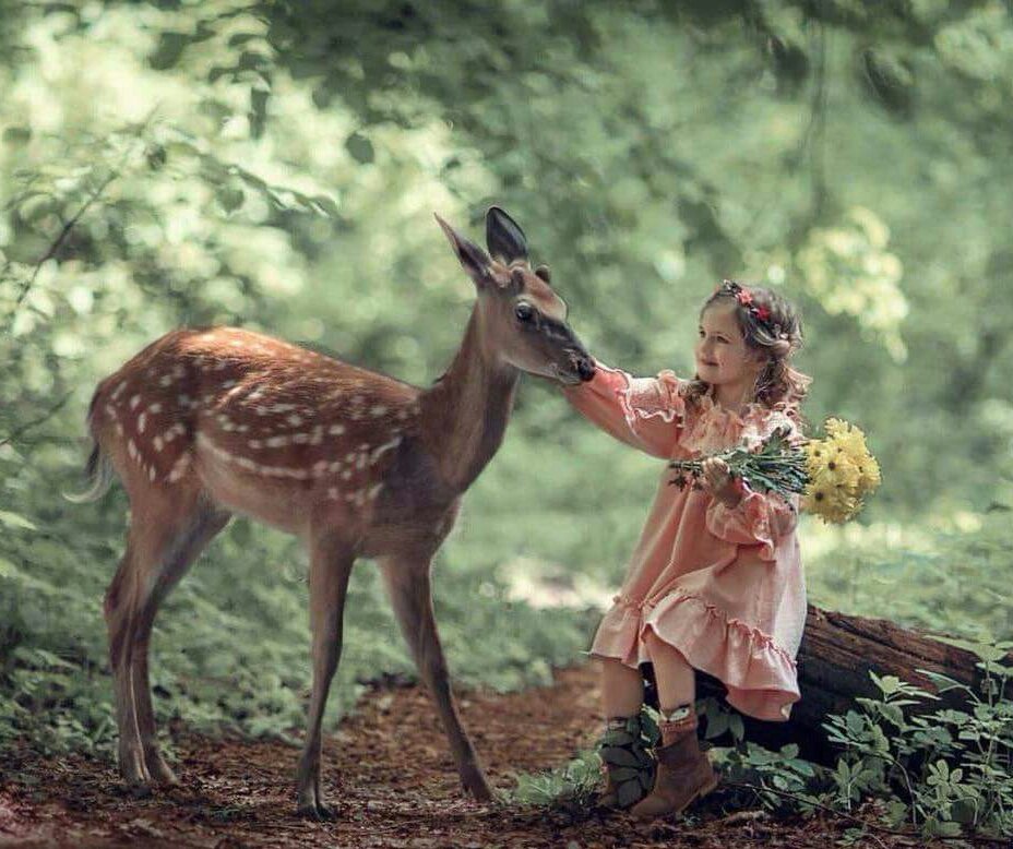 🌙

مساء الخير لمن يفعلون الخير

 ...قولا" .. 
    و عملا" .. 
       و فعلا" ..

 لمن يثلجون القلوب و الصدور بكلماتهم الرقيقة .. 
لمن بإطلالتهم يزداد المساء   روعة و جمال 

🌙