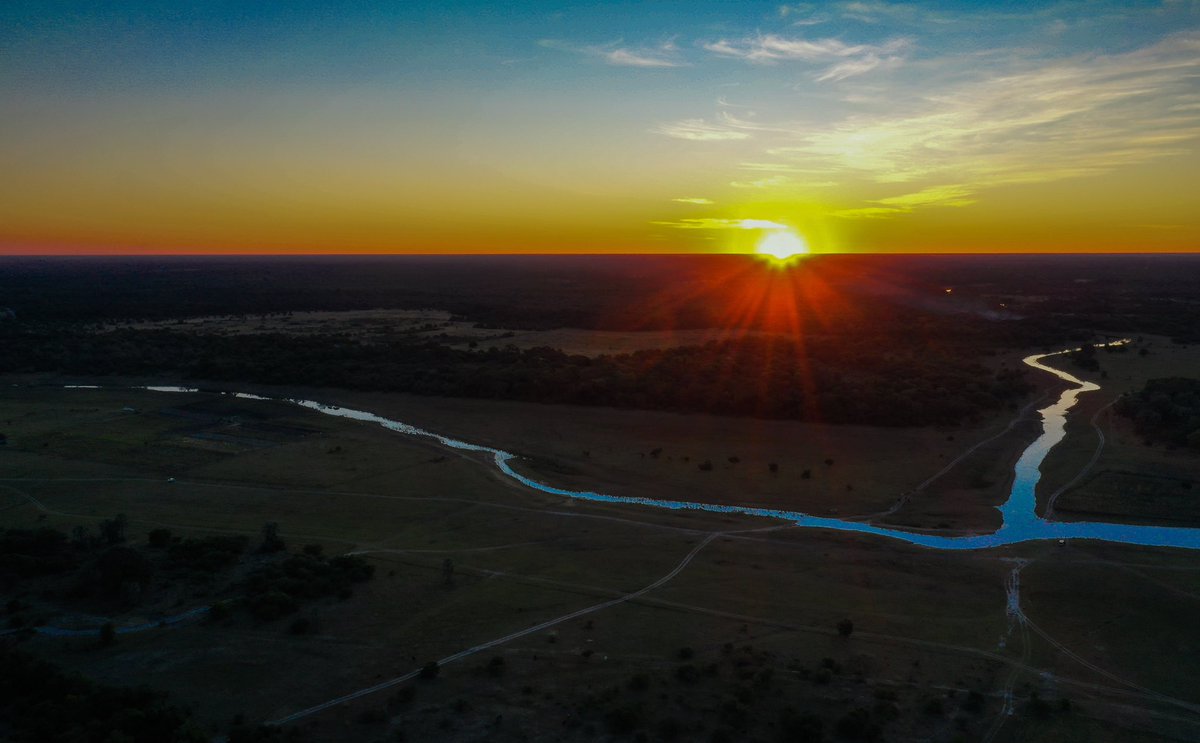 BotswanaTourism's tweet photo. #Botswana is a land of surreal sunsets and breathtaking landscapes filled with extraordinary life. ⁣⁣
⁣⁣
#ilovebotswana #destinationbotswana #traveltomorrow https://t.co/7oUiQRCndv