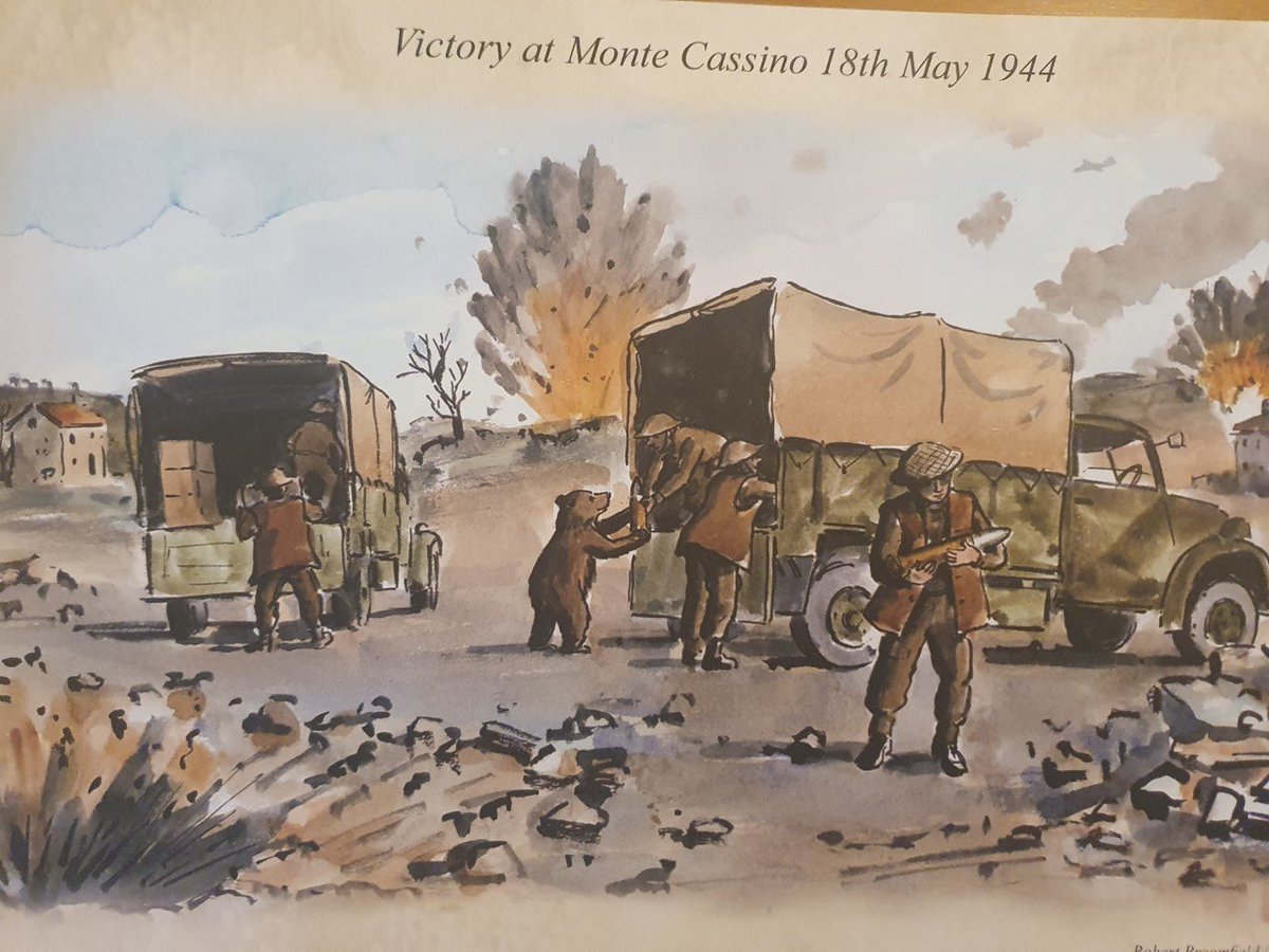 12/ The 2nd Corps played an important part in the victorious the Battle of Monte Cassino and Wojtek played a role helping his comrades-in-arms, carrying heavy crates of shells and ammunition.