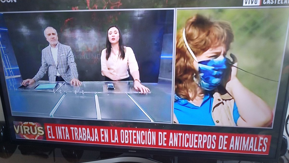 Mario Migliorati tweet media