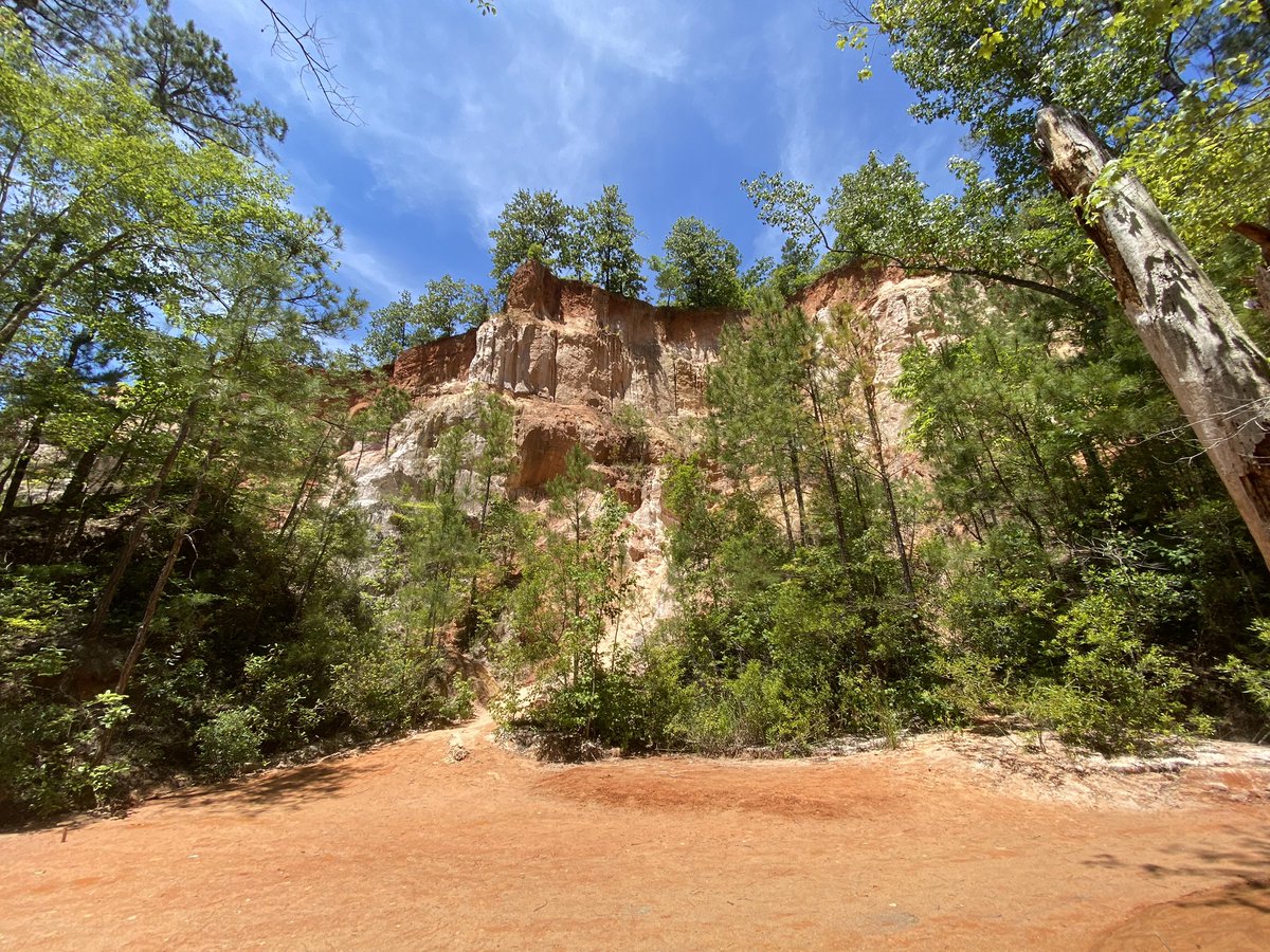LarissaLiska's tweet photo. So blessed to have found a few hiking destinations in Georgia. Providence Canyon, “Georgia’s Little Grand Canyon” is a beauty! #SupportStateParks @GaStateParks https://t.co/B35bwzSOA2