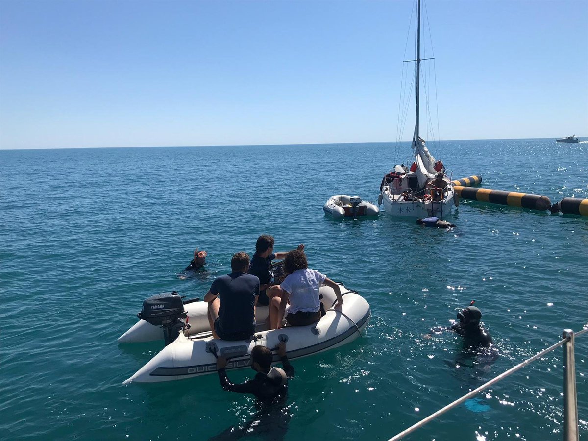 Les Parasites / lesparasites.bsky.social tweet media