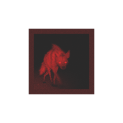 ≣≣≣≣≣《𝐊𝐚𝐧𝐞 𝐍𝐢𝐬𝐡𝐢𝐦𝐮𝐫𝐚》≣≣≣≣≣
   
✘𝚃𝚑𝚎 𝚁𝚊𝚋𝚒𝚍 𝙷𝚢𝚎𝚗𝚊
✘𝙿𝚊𝚝𝚛𝚒𝚊𝚛𝚌𝚑 𝙾𝚏 𝚃𝚑𝚎 𝙽𝚒𝚜𝚑𝚒𝚖𝚞𝚛𝚊
    𝙵𝚊𝚖𝚒𝚕𝚢
✘𝙰 𝚂𝚞𝚋𝚜𝚒𝚍𝚒𝚊𝚛𝚢 𝙾𝚏 𝚃𝚑𝚎 𝙼𝚞𝚛𝚊𝚓𝚒
    𝙰𝚕𝚕𝚒𝚊𝚗𝚌𝚎
✘𝙰 𝙵𝚊𝚗𝚍𝚘𝚖𝚕𝚎𝚜𝚜 𝙾𝚌
✘𝙸𝚗𝚏𝚘 𝙱𝚎𝚕𝚘𝚠