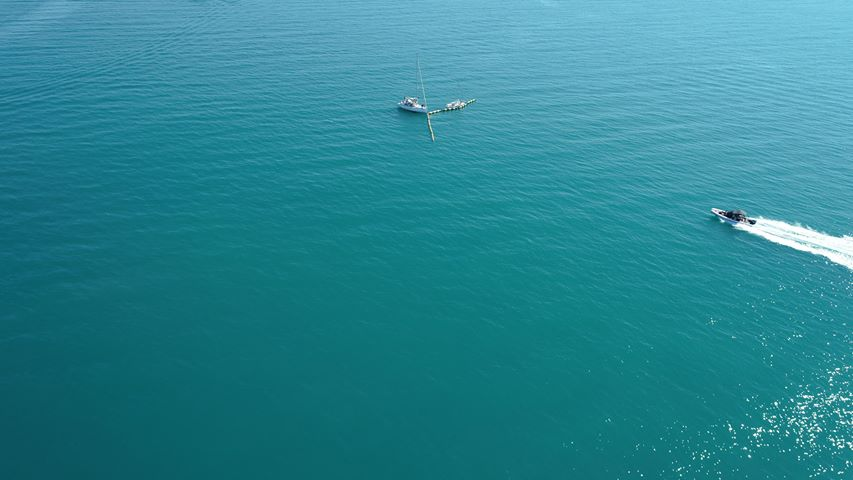 Les Parasites / lesparasites.bsky.social tweet media