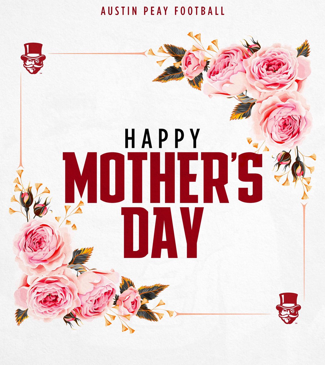 Mike Sollenne tweet media