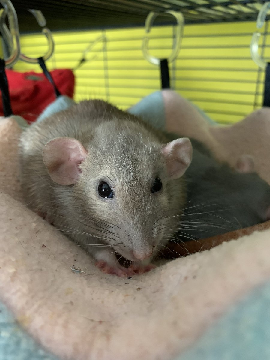 i’m new on instagram so if you have instagram i’m trying to found you