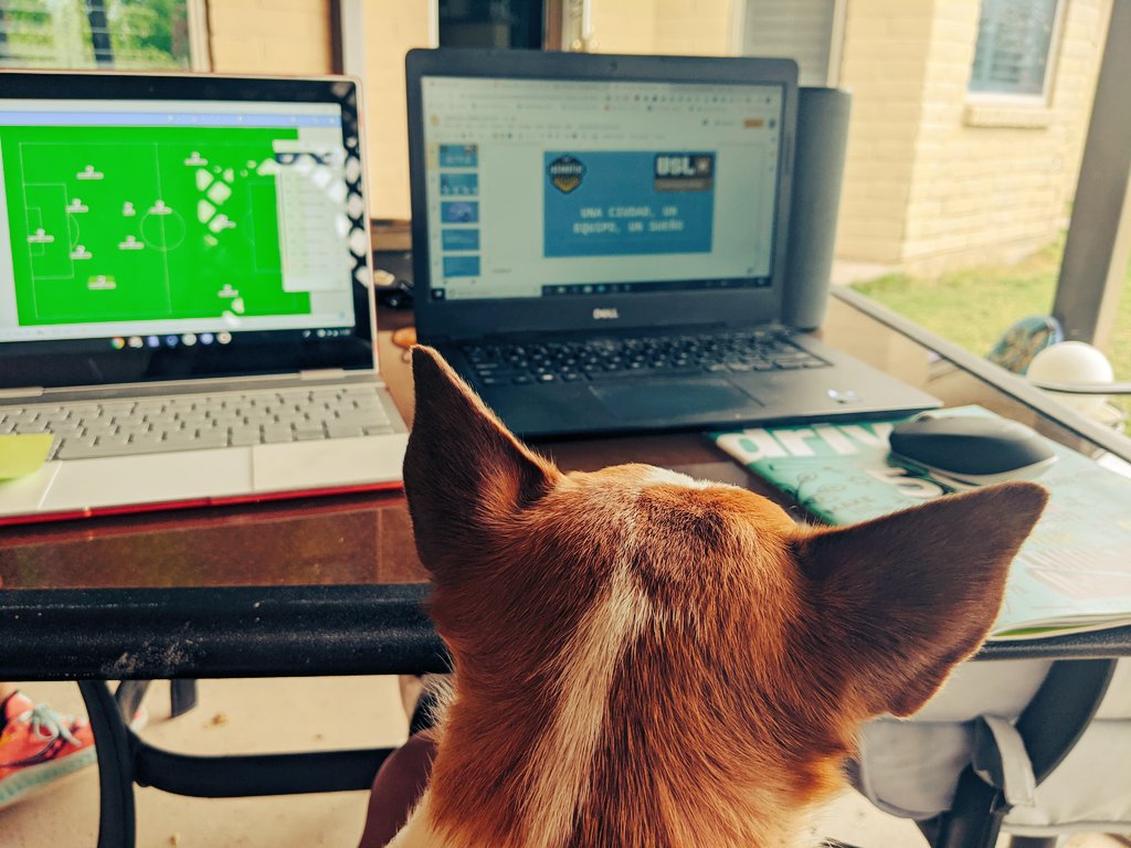 Coach_Obed's tweet photo. Ani is not having this. She refuses to let me work on my final project. But it must get done! Even if she is on my lap all day. #SundayFunday #coachingeducation #classof2020 #prolicense https://t.co/jHoxeCoMRD