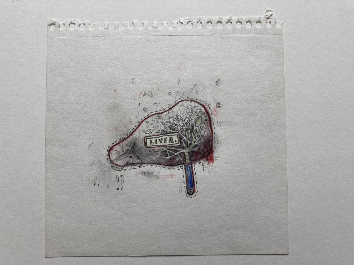 FRabbits's tweet image. Here are Scott’s original drawings for the whole ‘Liver Lung FR’ idea. Thanks to everyone for joining tonight and to @Tim_Burgess and anyone that donated to @tinychanges. Maybe we’ll do it again sometime and tweet through it? #TimsTwitterListeningParty #tinychanges