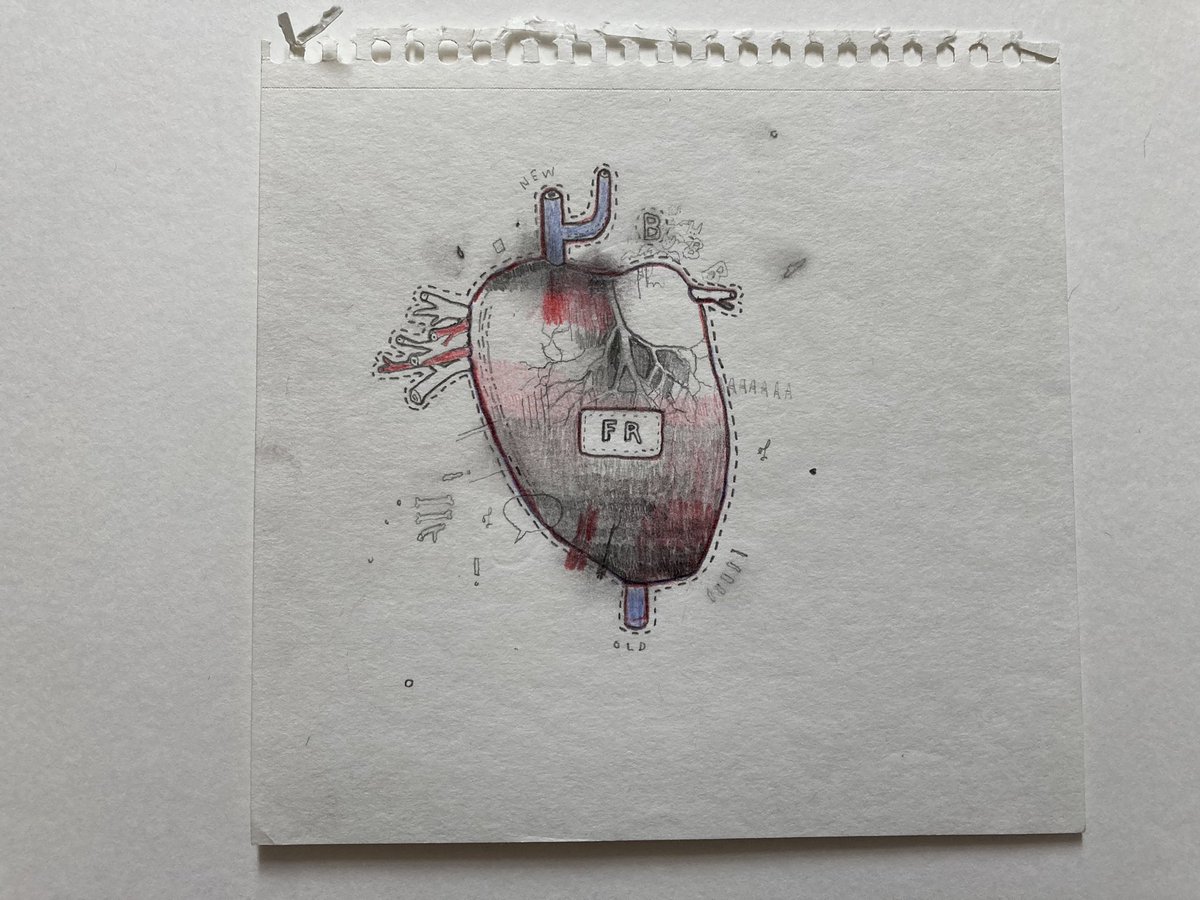 FRabbits's tweet image. Here are Scott’s original drawings for the whole ‘Liver Lung FR’ idea. Thanks to everyone for joining tonight and to @Tim_Burgess and anyone that donated to @tinychanges. Maybe we’ll do it again sometime and tweet through it? #TimsTwitterListeningParty #tinychanges
