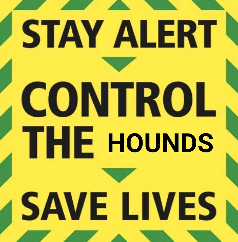 sabs_irl's tweet photo. BREAKING: Government comes out as pro-sab. https://t.co/Rs2muZPZiB