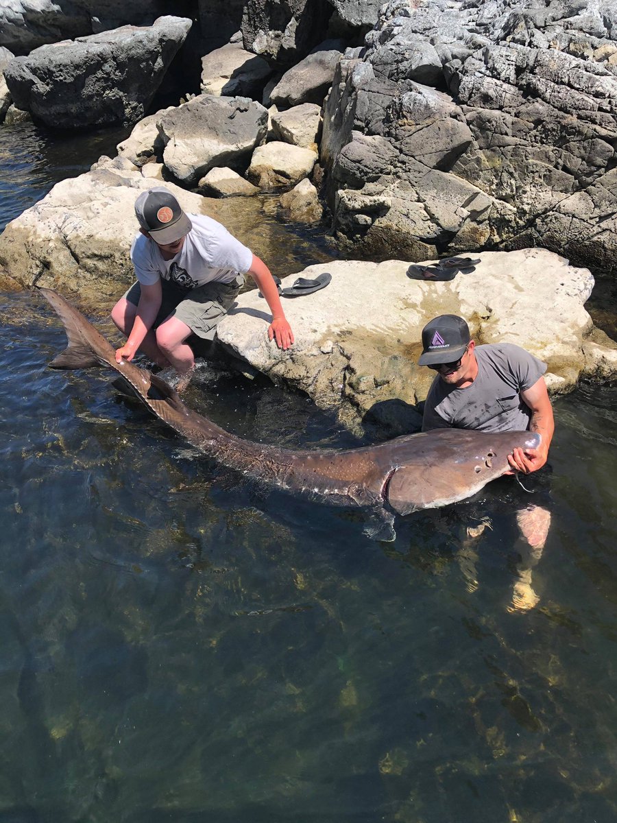 friend_aaron's tweet photo. On this episode of River Monsters.. https://t.co/tynhGpHR4s