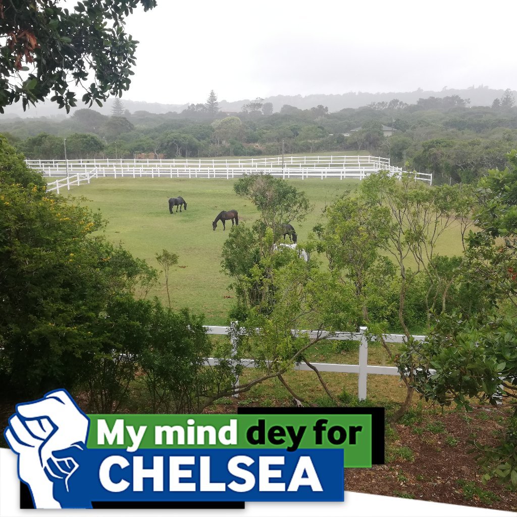 Xhosacliqs's tweet image. #SnapFanApp  #fortheloveofthegame #betwaysnapfan