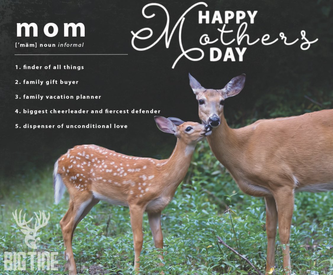 Big Tine Official (@big_tiner) on Twitter photo 