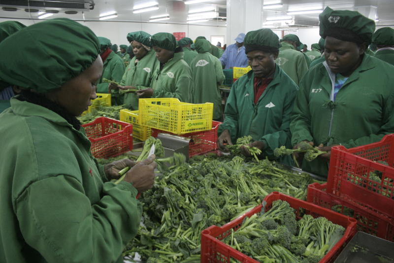 CovidFoodFuture's tweet photo. #KENYA- Border closures due to #COVID19 has disrupted exports of horticultural products to foreign markets. Farmers are counting losses and trying to remain afloat so as to resume operations once the virus is contained: https://t.co/9w5BxqRZvt #Covid19FoodFuture @olareeh https://t.co/yXbLjvZzD3