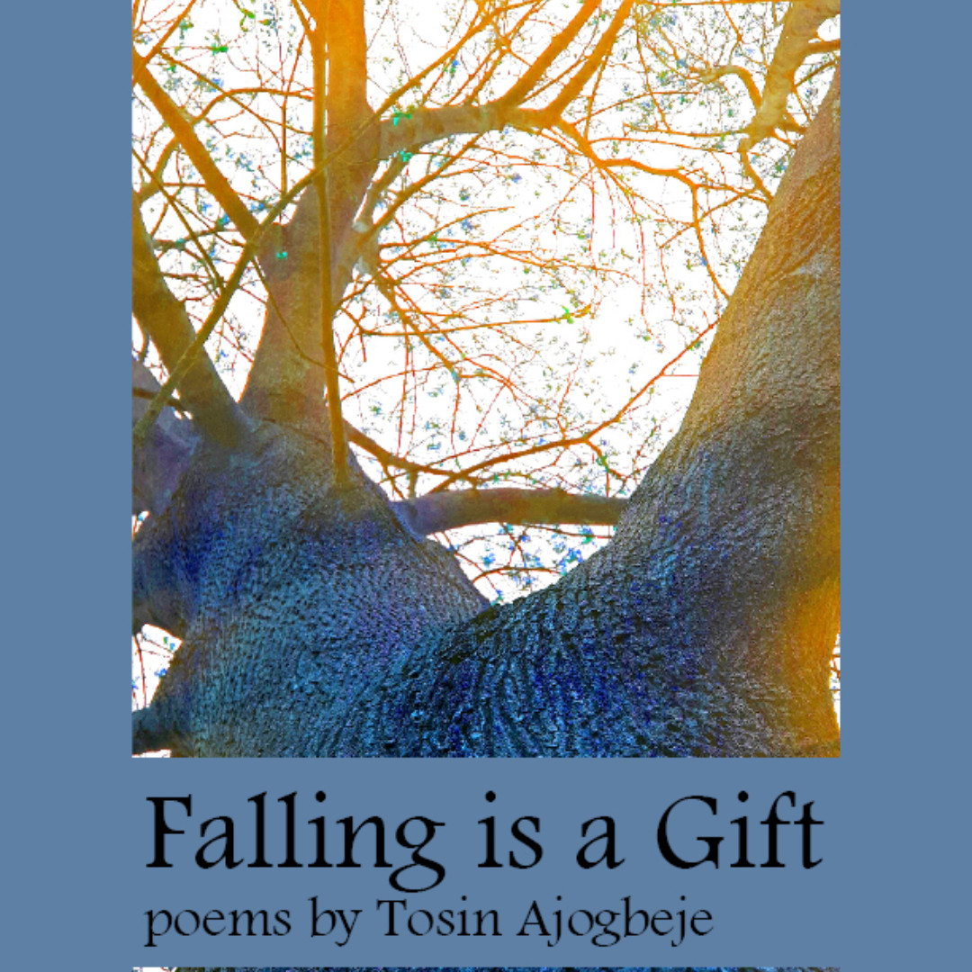 Grey_Borders's tweet photo. "Falling is a Gift" poems by Tosin Ajogbeje NEW THIS WEEK at https://t.co/IiQCGW6vLQ ; preorder the print edition for $15, Kindle/Ebook for $2.99 also available for FREE viewing https://t.co/4vbgZDKzM8