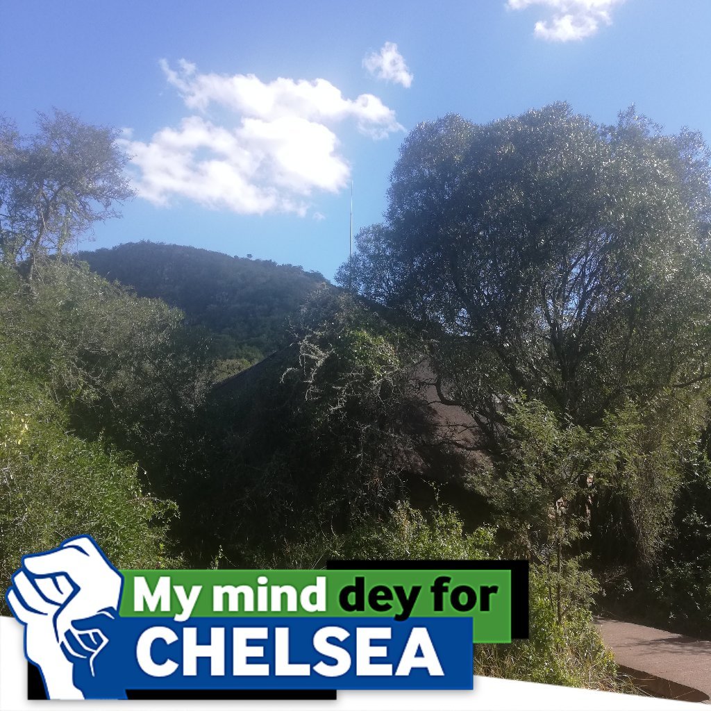 Xhosacliqs's tweet image. #SnapFanApp  #betwaysnapfan #fortheloveofthegame