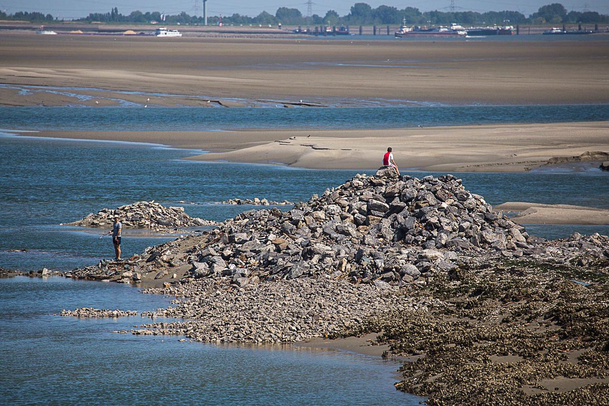 Werkzaamheden in de #Westerschelde ter hoogte van de Kop van #Ossenisse <a href="/provzeeland/">Provincie Zeeland</a> <a href="/zeelandweb/">Zeelandweb community</a> <a href="/omroepzeeland/">Omroep Zeeland</a> @fotografieinZLD <a href="/Zeelandfoto/">Zeelandfoto</a> <a href="/PIXZeeland/">PIXZeeland</a> <a href="/gemeentehulst/">Gemeente Hulst</a> <a href="/zeeuwsvlaandere/">Z-Vlaanderen Nieuws</a> #zee #water