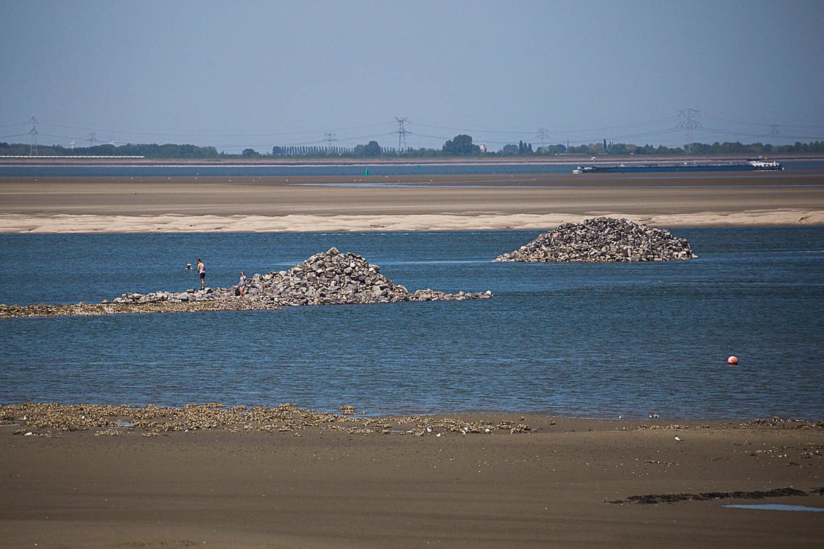 Anita Eijlers-van Dooren tweet media