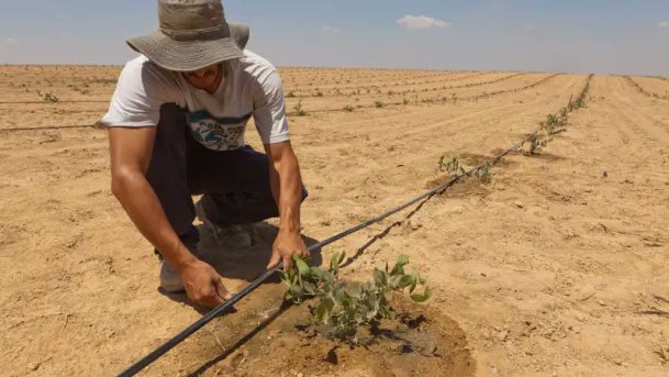 Agriculture is 99% science & 1% perspirationMalthusian said the world would starve because it could not feed her populationMalthusian theory sadly is real Nigeria but farming technology in say Isreal means it will not hold in Isreal and other mechanized agricultural nations.