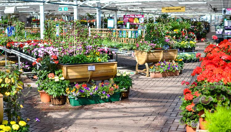 Getintothis's tweet photo. #BorisSpeech summary:

🏡 Stay at home but go out if you want
💸 Work from home but go back if you're skint
🚴🏼‍♂️ Cycle to work or walk or don't
🏫 Shops &amp; schools reopen in June, unless they don't
🍻 Pubs can reopen soon but probably won't
💐 Garden centres will save the economy https://t.co/SOxbWnYZum