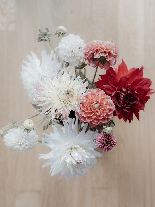 Happy Mother’s Day to all the amazing mothers out there. Thank you for all that you are and all that you do! We love you 💛🤍💛
#yyj #mothersday2020