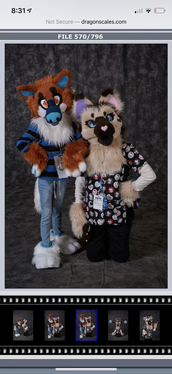 smallfuzzball ➡️ BLFC tweet media