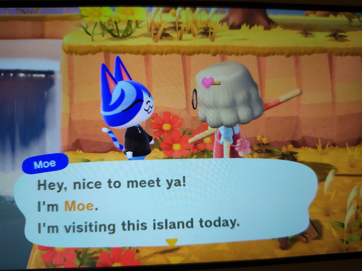 9. HE'S SO CUTE but i already have two lazy villagers