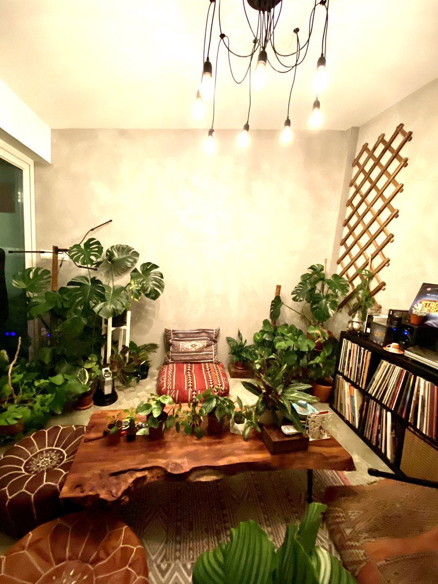 eyeschipha's tweet photo. Rearranged our little space 😬🥰 #fortheloveofplants #GoGreen #happyplantlady https://t.co/kaysMD6o9s