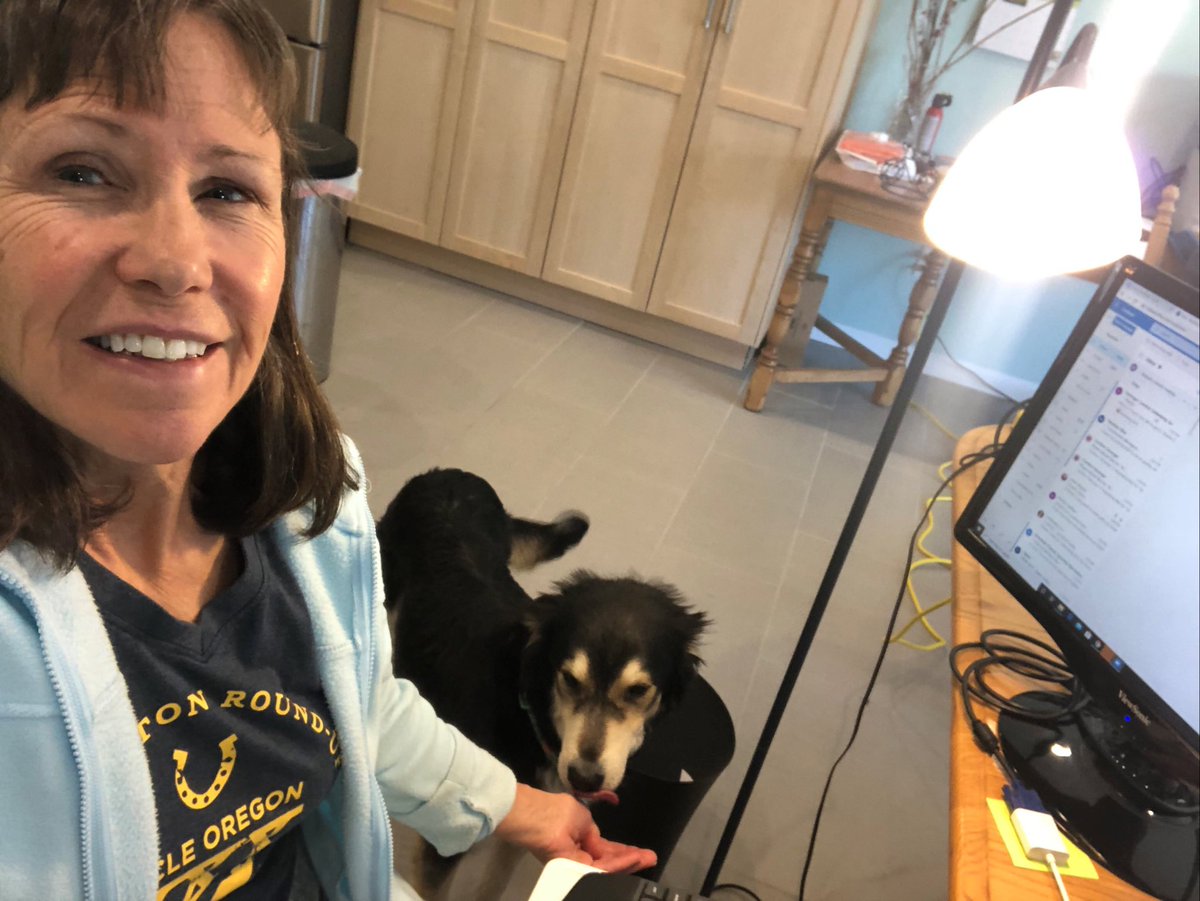 Showcasing some of our pets helping us get through finals week! #CUdenver #CUinthecity