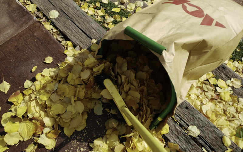 GardenJunkie1's tweet image. Looking for a product that makes fall yard clean up a little easier? Check out the Leaf Gulp &amp;gt;&amp;gt;bit.ly/2QFsONu #leafgulp #gardencleanup #gardenmaintenance #GPReview #productreview #leaves #gardeningproducts #yardcleanup