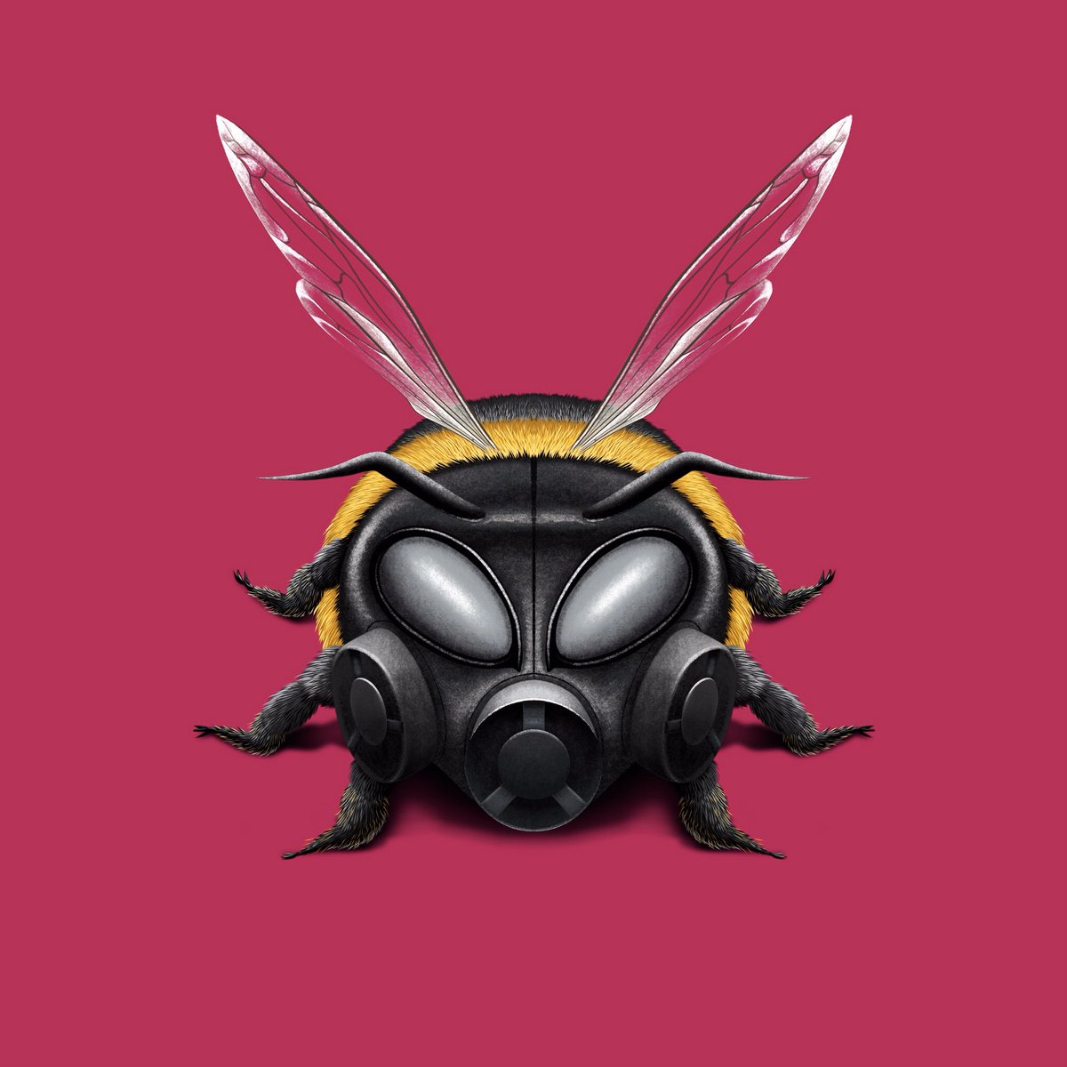 RachelSawyerr's tweet photo. @stuartbache Hi Stuart, thank you for the thread.

Freelance Illustrator 
https://t.co/oSztoL1TOI

#SundayDesign https://t.co/RkPoc2cFPN
