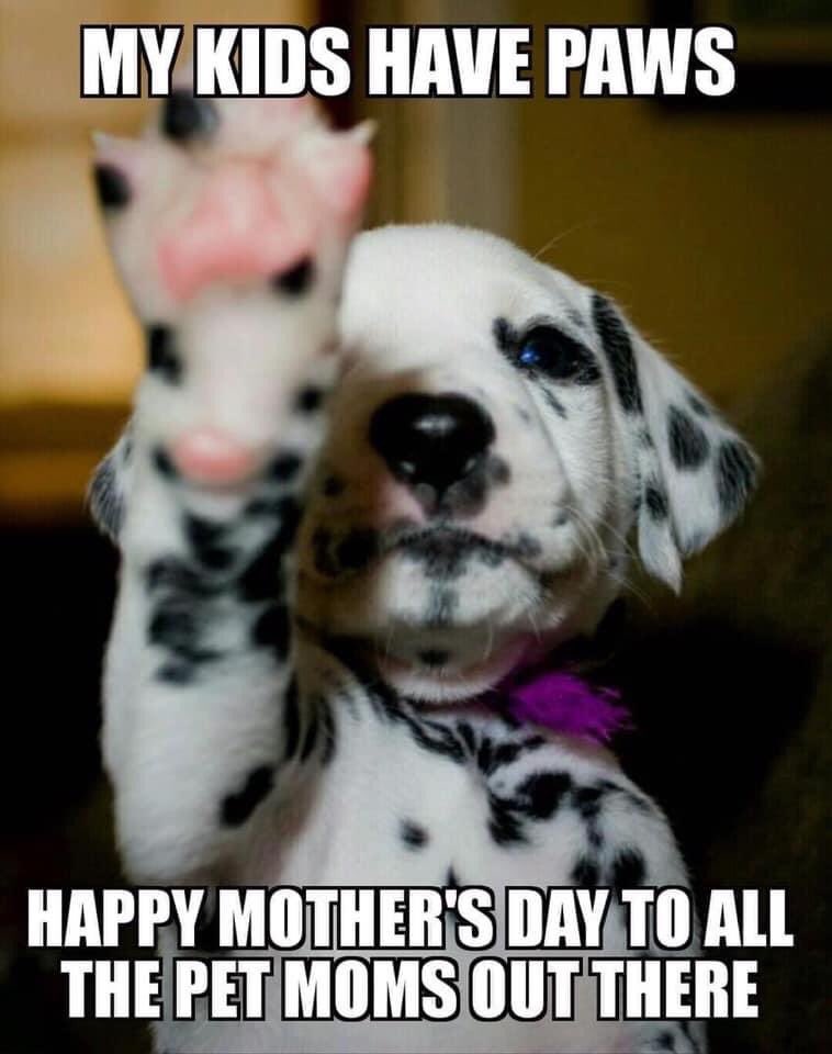 HigginsnRoxy1's tweet photo. Happy Mother’s Day https://t.co/puBH7ERzZh