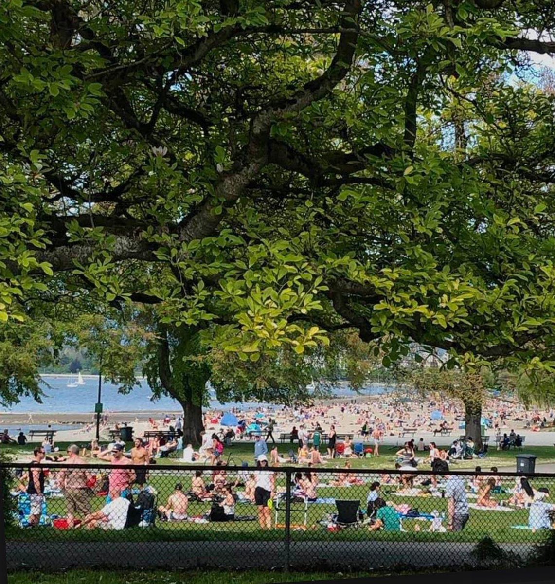 Kitsilano Beach yesterday. We are so screwed.