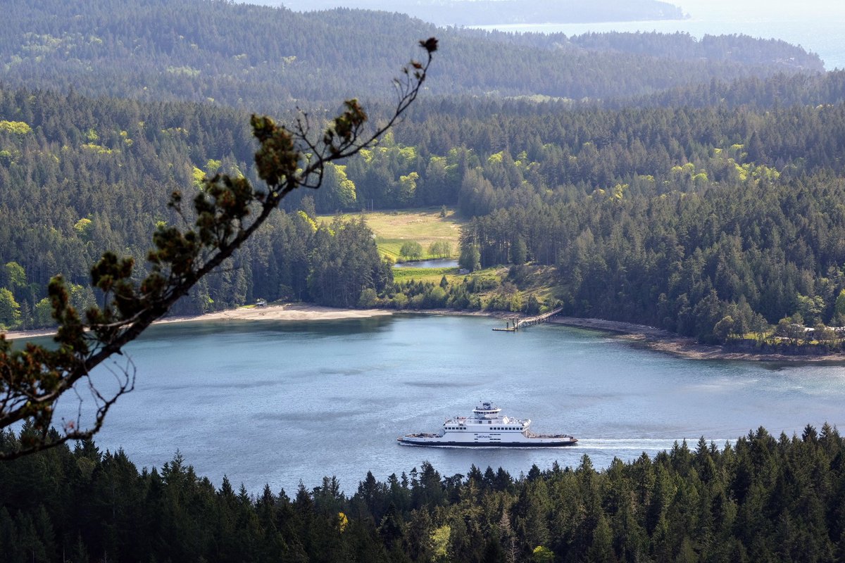 Day 2/7 of my life in pictures. Rules: no people, no words. Nominate someone new every day. I was nominated by @KFilerRobinson. I nominate @Fishmatician