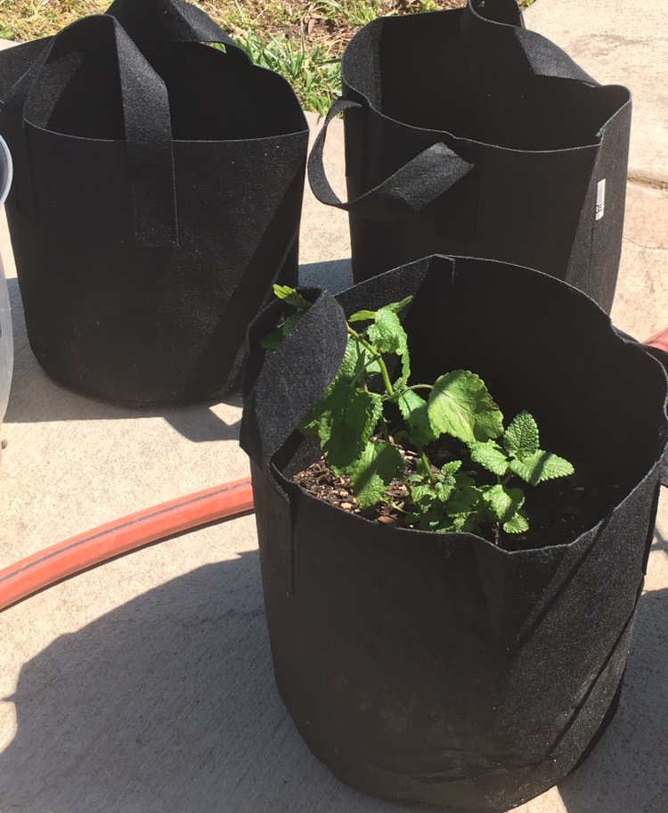 You can find these online easily and they’re not expensive. 5 gallon bags like the ones pictured are good for just about anything. 10 gallon are for potatoes and other root vegetables.