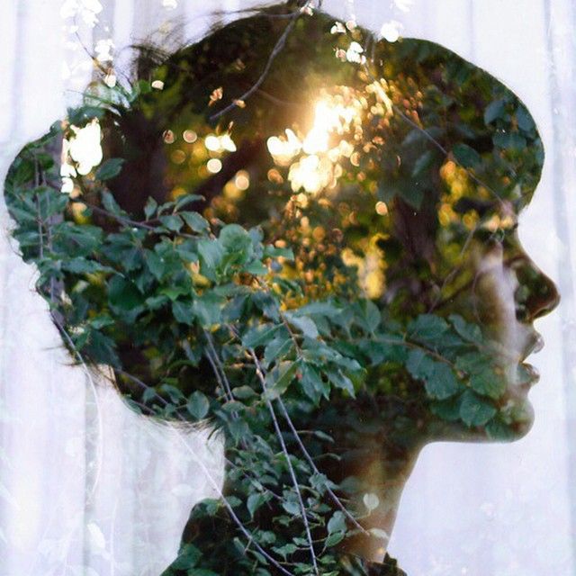 'Aşk mesafe yüzünden ölmez. Şüphe yüzünden ölür.' - Elif Şafak