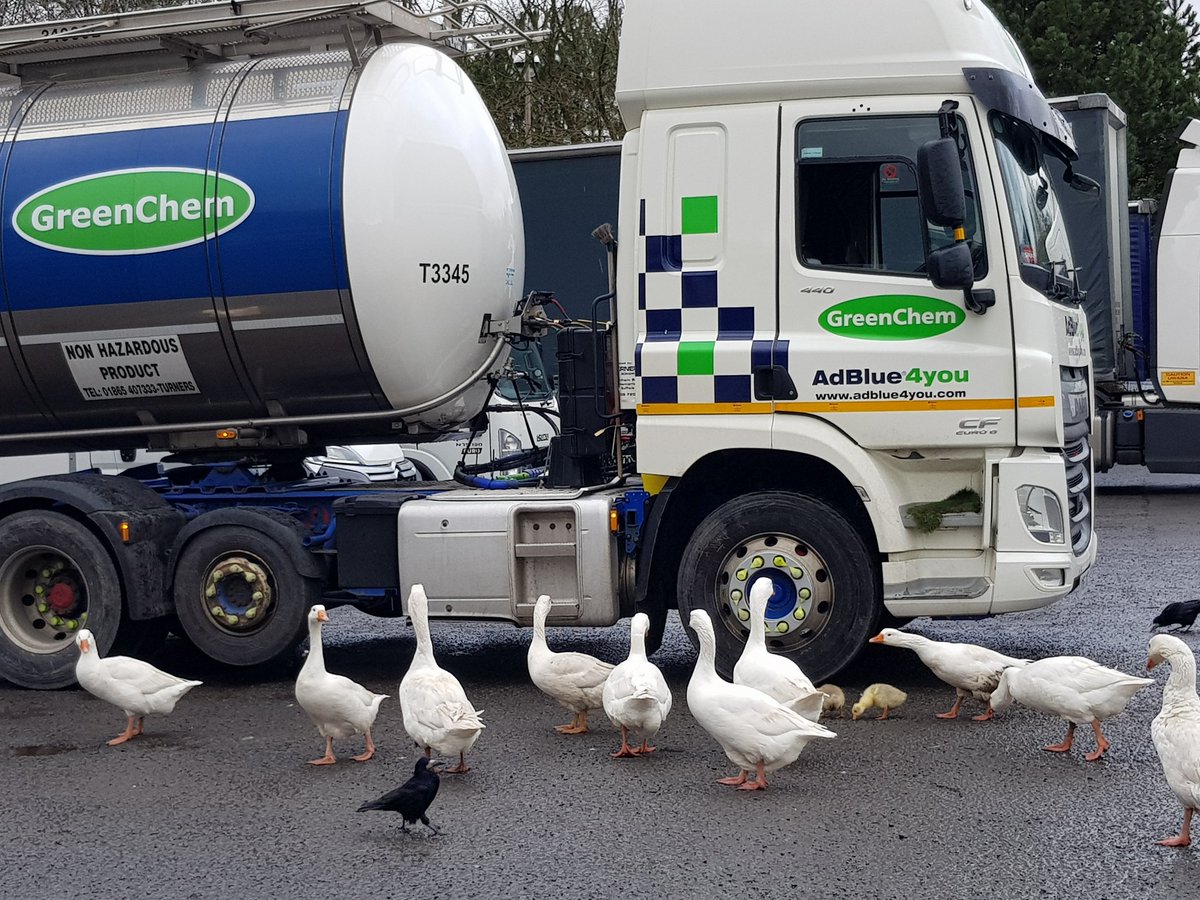 Colinwhyte62's tweet photo. @DAFTrucksUK @Truckfest_Live https://t.co/T8pVBBEtlr