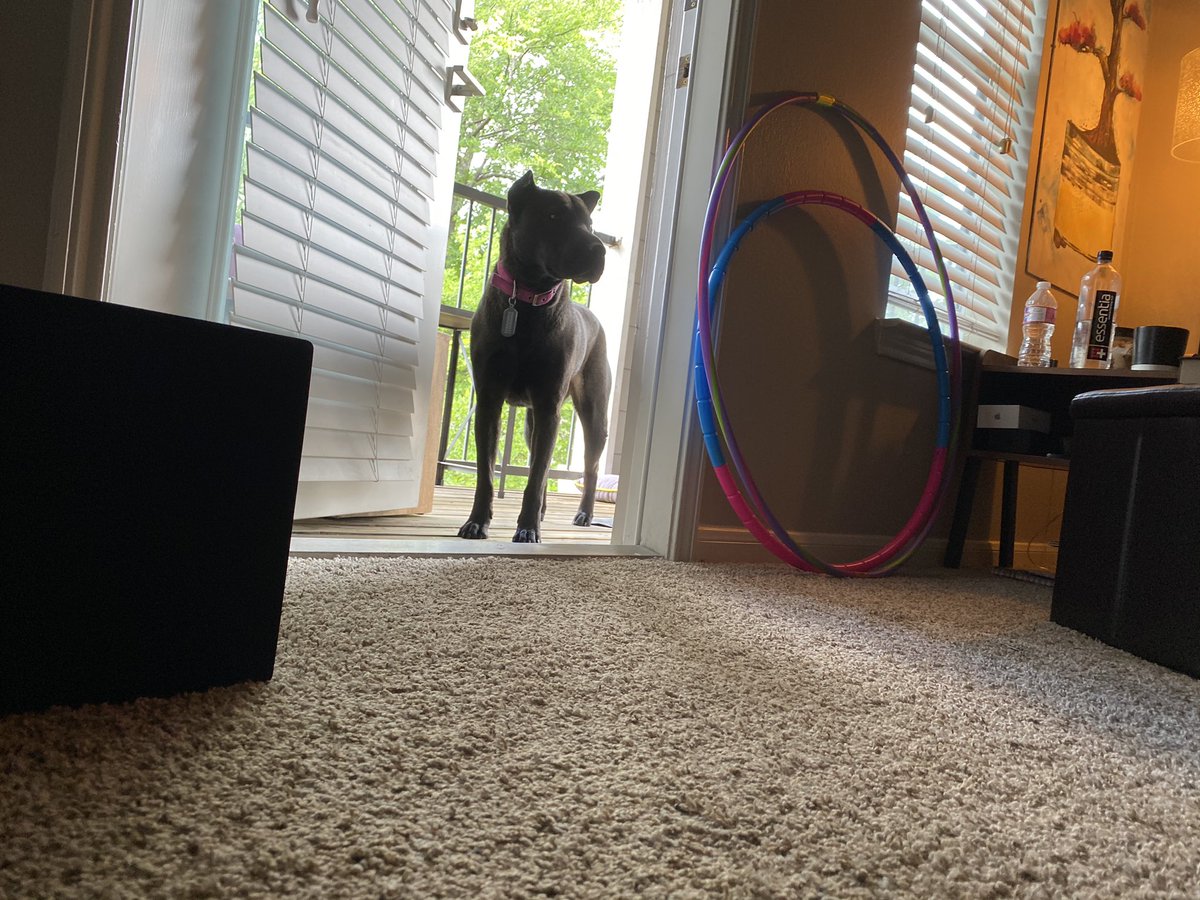 Damion Cook tweet media