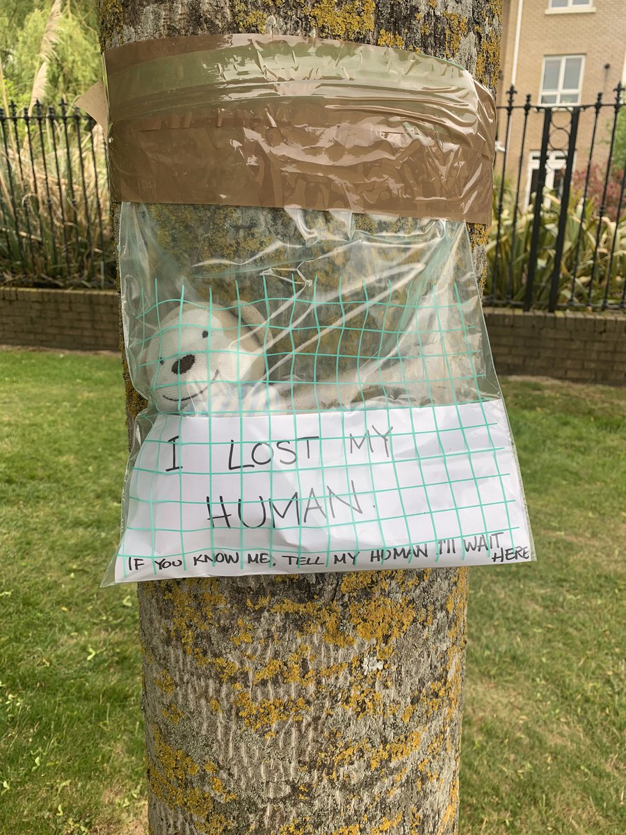NickyByrne's tweet photo. Hey @enjoymalahide I spotted this on a tree near Castleheath today, somebody missing someone very precious!
Please Retweet and reunite quickly! https://t.co/0SZDEy49oQ