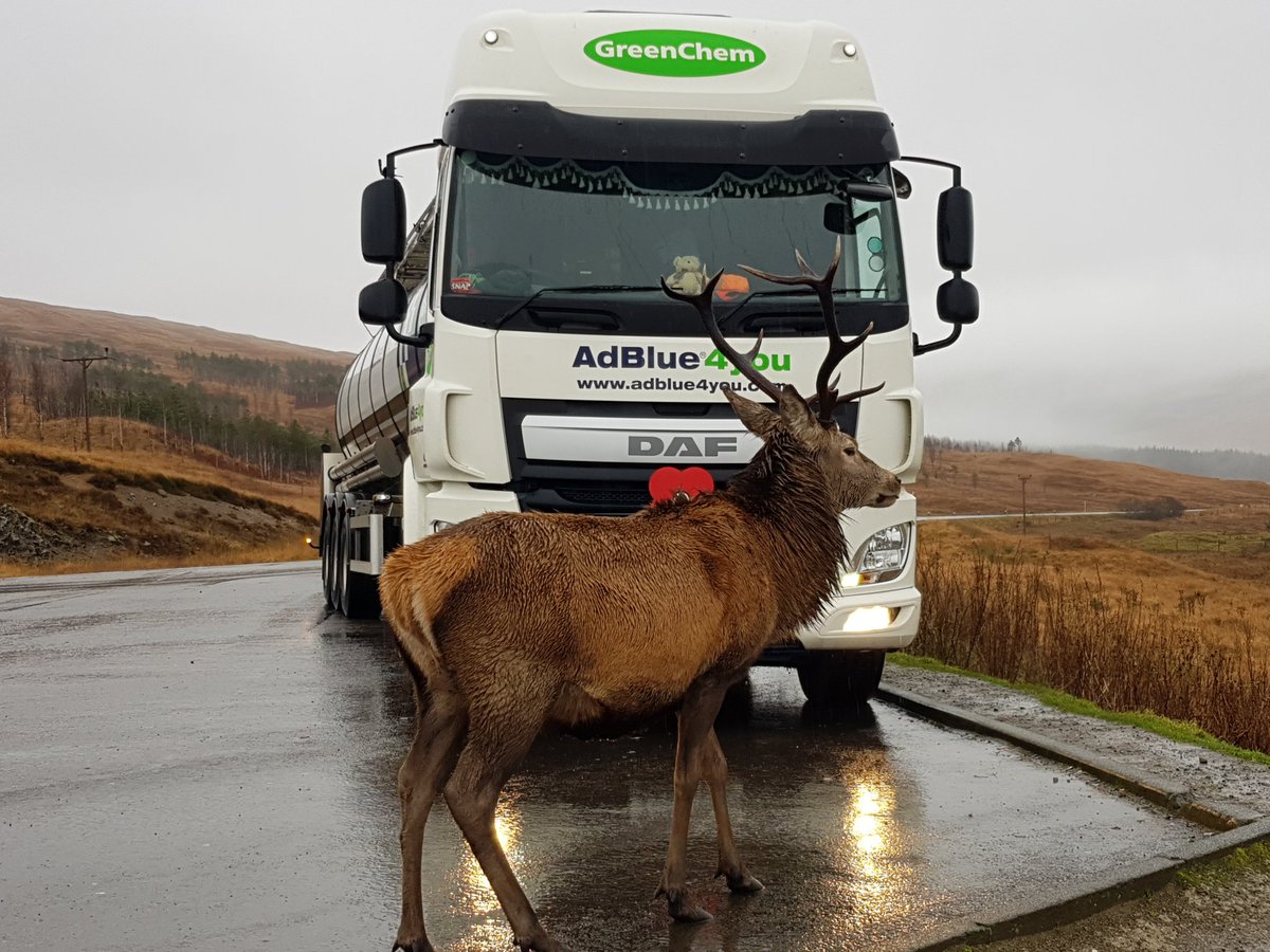 Colinwhyte62's tweet photo. #DAFVirtualTruckShow https://t.co/hZ2ft7NDHZ