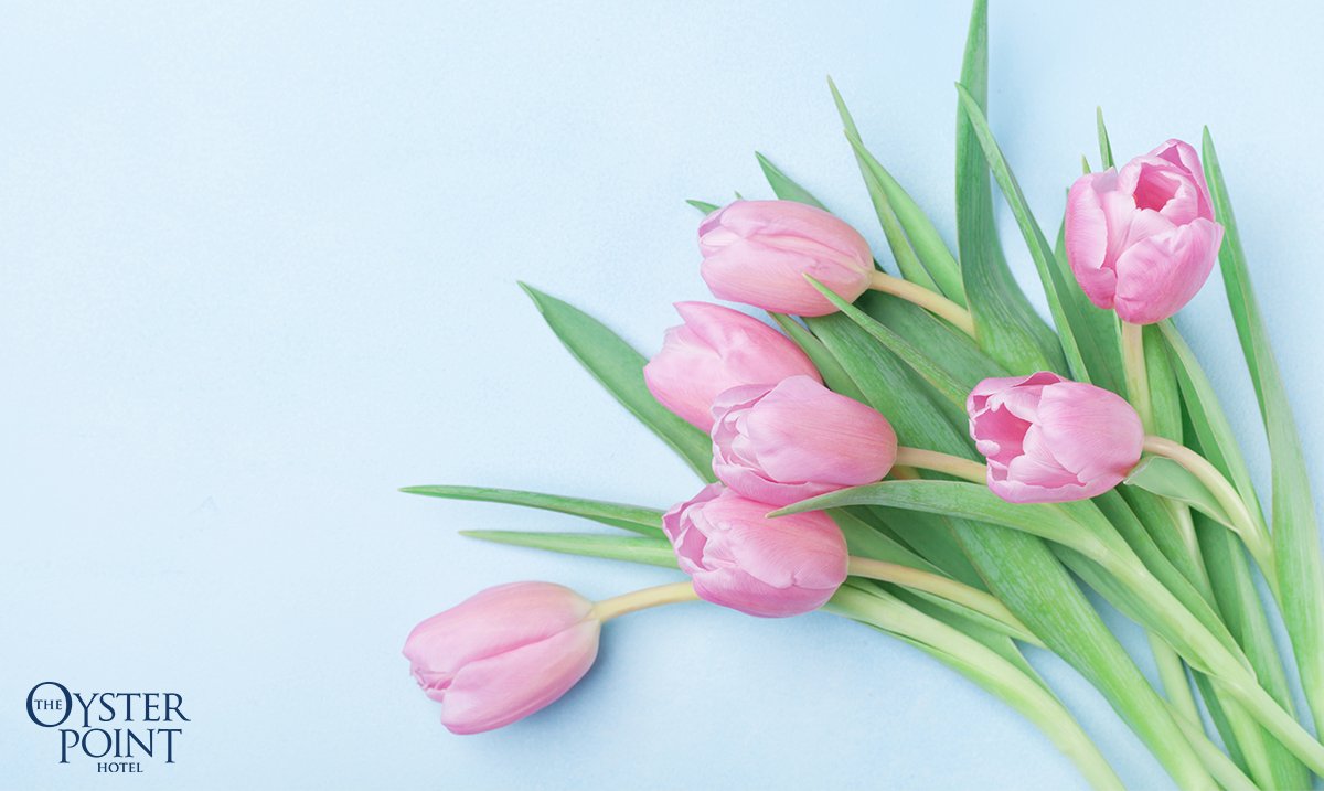 From our family to yours, we hope you had an amazing Mother’s Day!