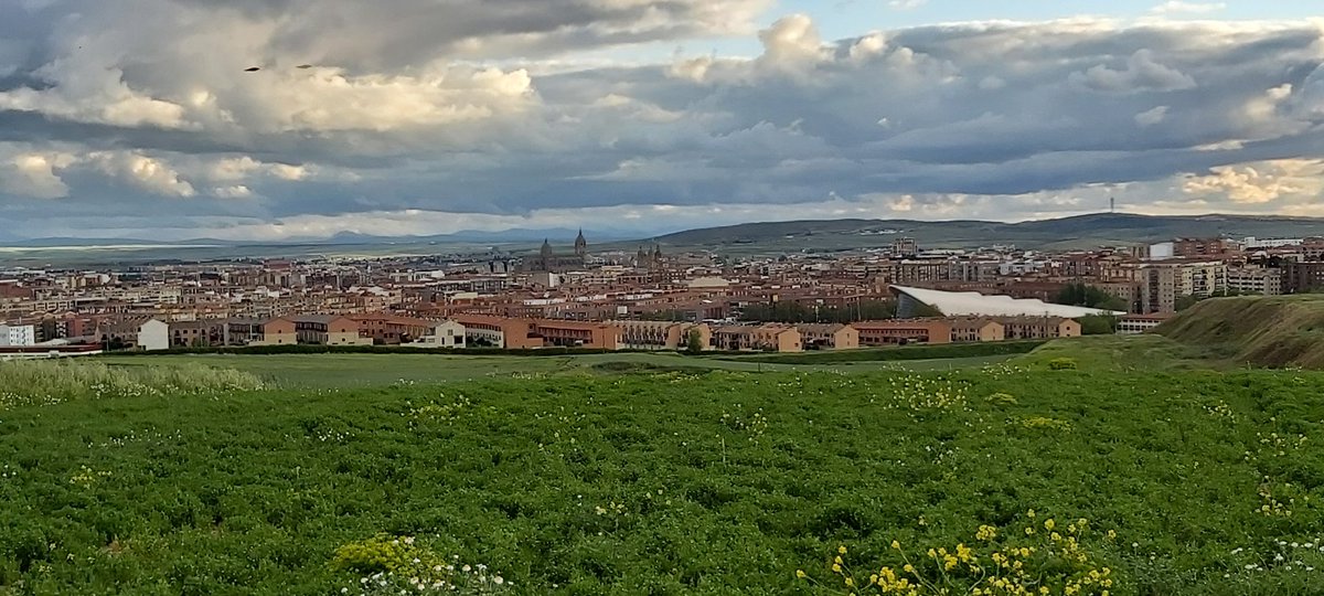 JFX65's tweet photo. #Salamanca 😘🚶‍♂️😷
#Atardecer 🍁🍀 https://t.co/ebON5jWJsR
