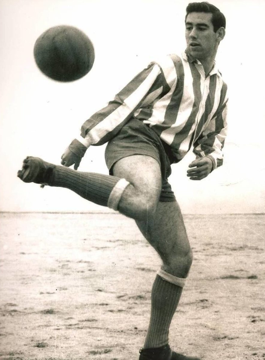 Il jouera son dernier match avec La Roja le 28 Octobre 1970 à Sarragosse contre la Grèce .Au total il aura inscrit deux buts (Brésil , Écosse ) en 14 sélections .