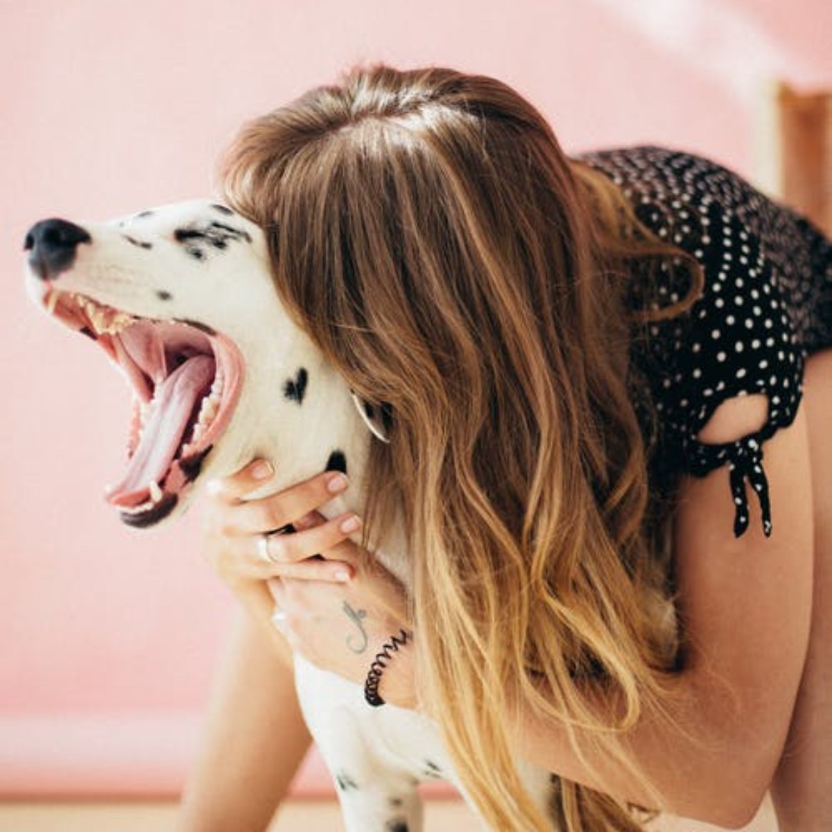 PalaceVet's tweet photo. Happy Mother’s Day to all those pet moms out there! Hope you get some extra snuggles. https://t.co/47PJdyBK3H