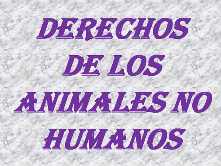SVivas19's tweet photo. Quizá muchos necesiten desde ahora un instructivo para saber qué días pueden ir a comprar, qué pueden ir a comprar y quiénes pueden trabajar, qué días pueden salir a despejarse, hasta dónde se puede llegar paseando, en qué lugares pueden sentarse ...
Sigue) https://t.co/o2rN7XG8bV